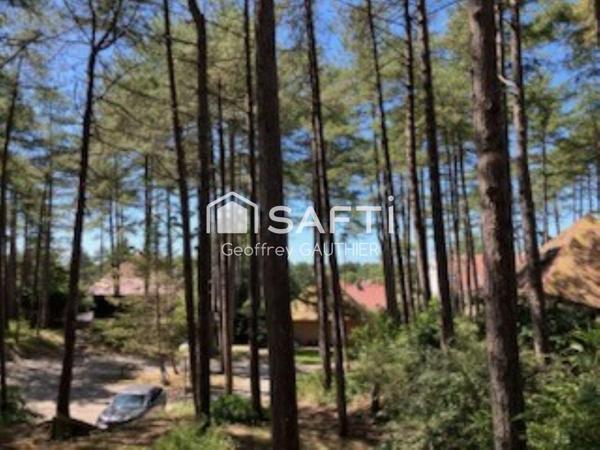 Maison dans la pinède à 2 pas de la plage