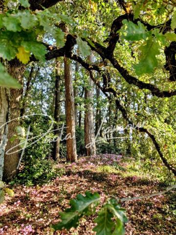 Un écrin de verdure aux portes du centre-ville