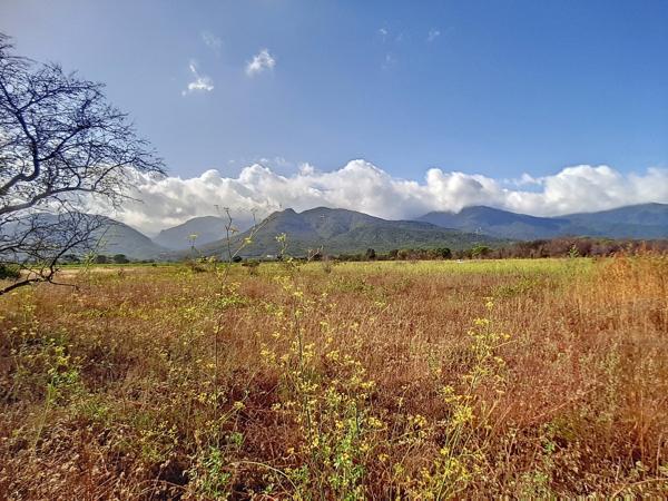 Vente / Terrain agricole