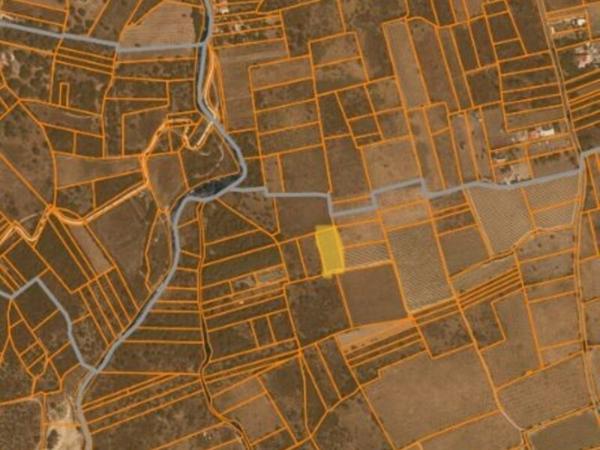 Vente / Terrain agricole