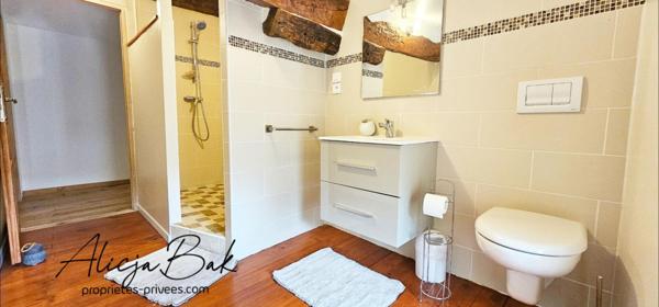 Maison Villespy 12 pièce(s) 255 m2