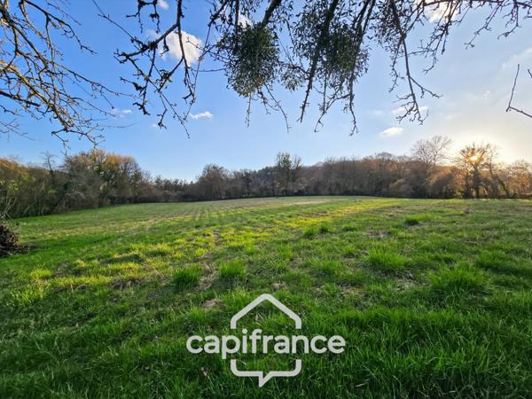 Maison de campagne à Nolay (58) avec dépendance en pierre et 7 397 m² de terrain