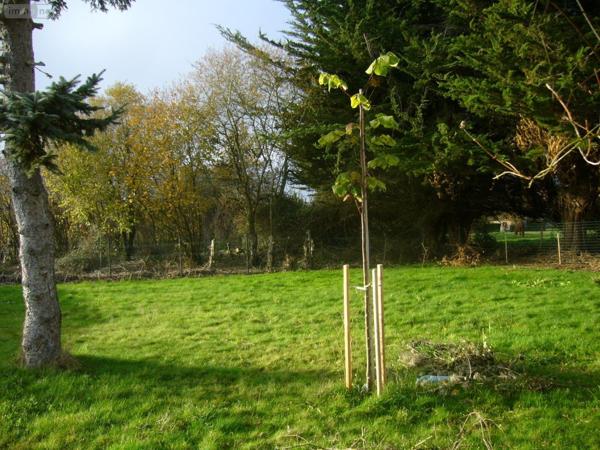 Terrain à Batir à vendre à La Vicomté-sur-Rance dans les Côtes-d'Armor (22690), ref : 276