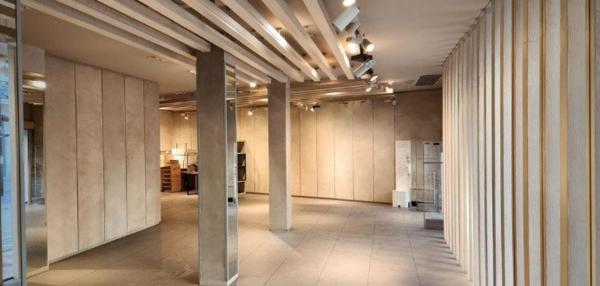 Murs Commerciaux Prestigieux à Agen : 255m²