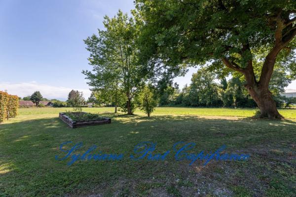 Local/bureau à vendre PAU (64)