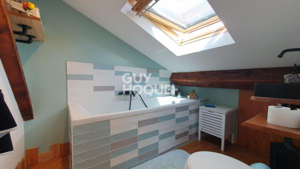 Charmant appartement 3 pièces ancien en duplex OULLINS (2 mn du métro) avec extérieur