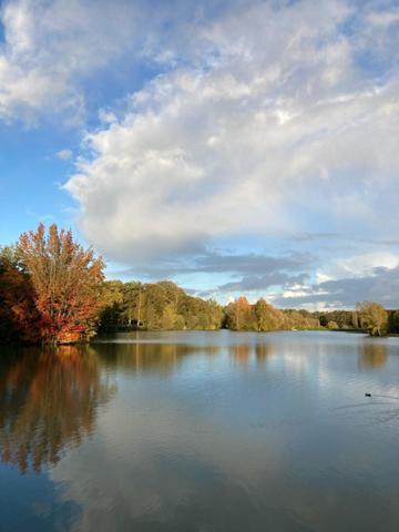 Maison à BAZOCHES-SUR-LE-BETZ, 45210 - 3 pièces 38m²