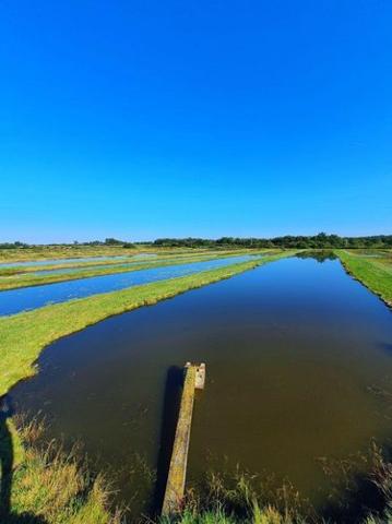 Étang à vendre à Lingé dans l'Indre (36220), ref : 037/2373
