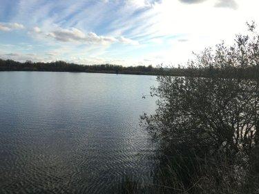 Étang à vendre à Lingé dans l'Indre (36220), ref : 037/2373