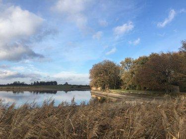 Étang à vendre à Lingé dans l'Indre (36220), ref : 037/2373
