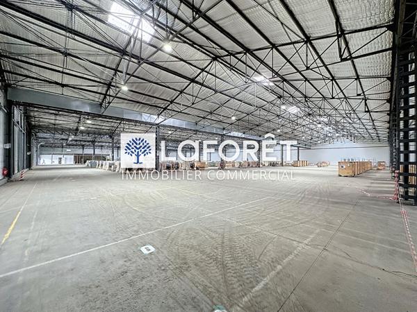 Achat local commercial Bressuire - 7847 m² - 3 289 462 €