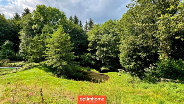 🌲 Domaine de charme – 2 chalets meublés avec étang privé, vue montagne 🌲 Terrain de 4000m2 environ