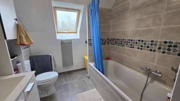 Maison Jargeau bord de Loire