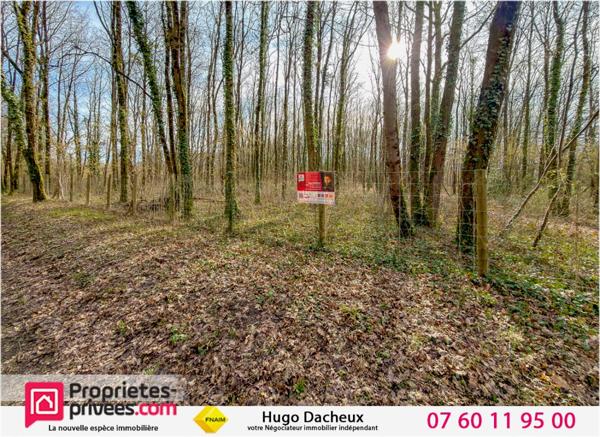Terrain constructible - 6783 m² - Boisé -