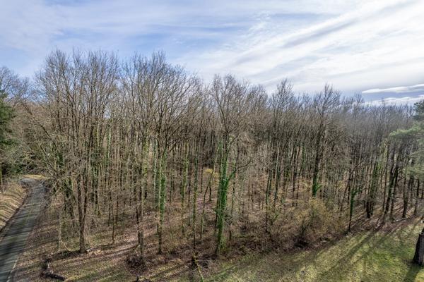 Terrain constructible - 6783 m² - Boisé -