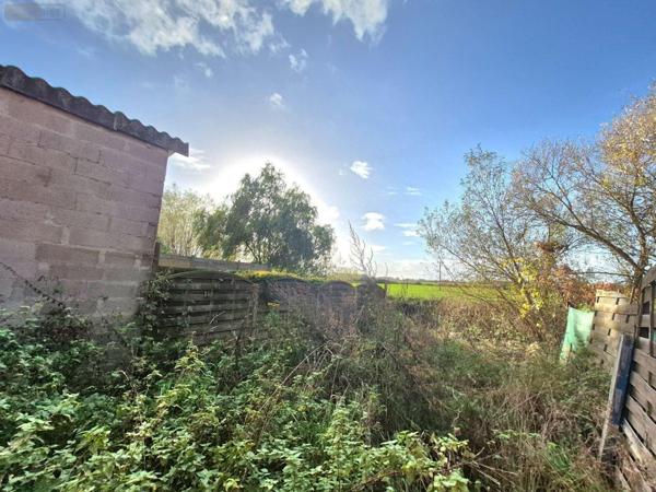 Maison à restaurer à vendre à Merville dans le Nord (59660), ref : C1130