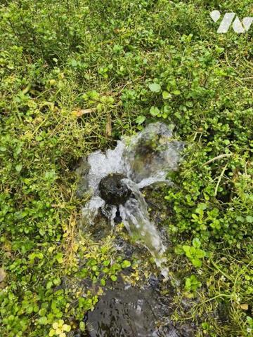 Cressonnière à vendre