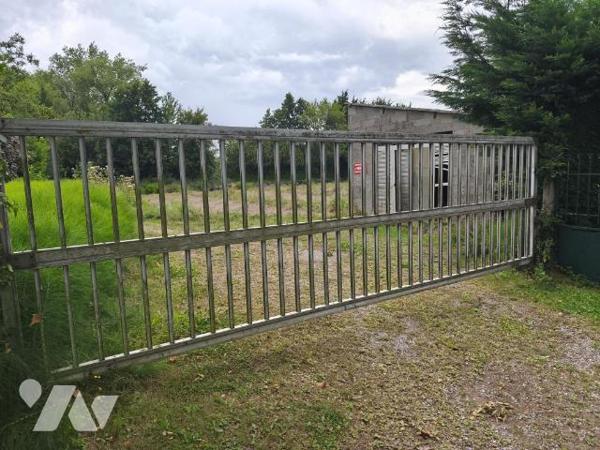 Cressonnière à vendre