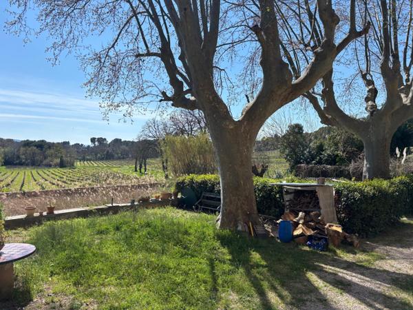 Exceptionnel la vie de Château au cœur du Muy