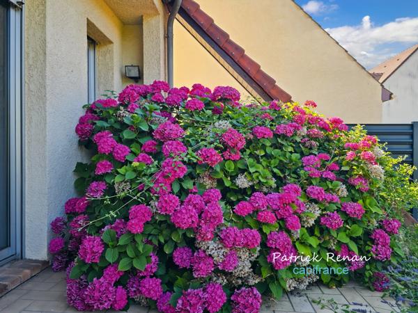 Maison à vendre 8 pièces P8 BOIS D'ARCY (78)