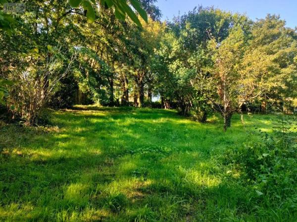 Achat - Terrain à bâtir Niort 79000 1470 m 2 1470 m 2