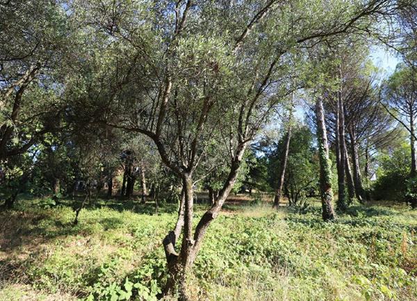 Maison à vendre    3 pièces •  Vallon-Pont-d'Arc