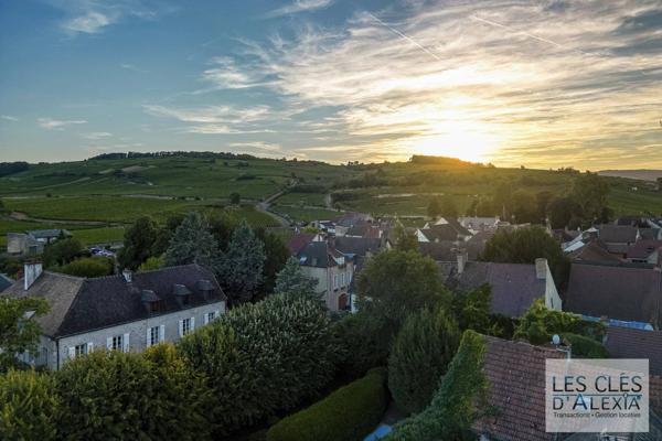 Propriété d’exception au cœur du vignoble de Pommard