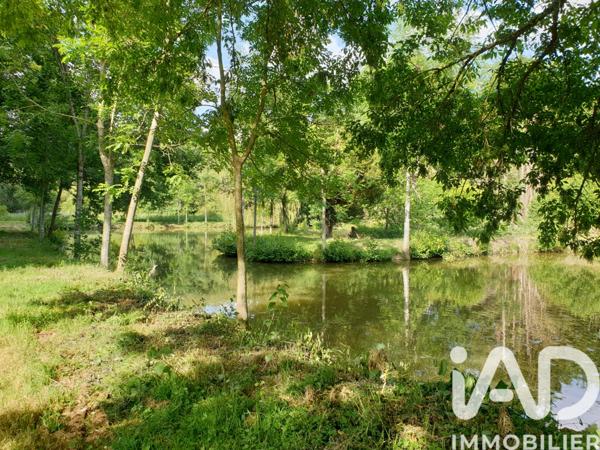 Terrain à vendre 11 797 m² Montreuil-le-Henri