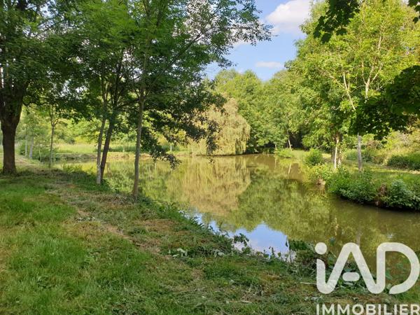 Terrain à vendre 11 797 m² Montreuil-le-Henri