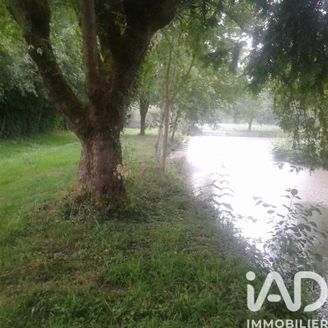 Terrain à vendre 11 797 m² Montreuil-le-Henri