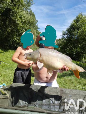 Terrain à vendre 11 797 m² Montreuil-le-Henri