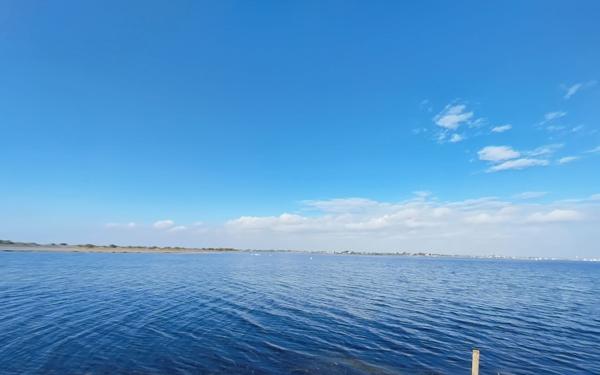 Terrain à vendre    Marseillan