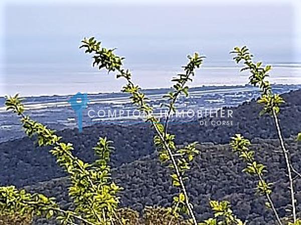 Terrain à batir