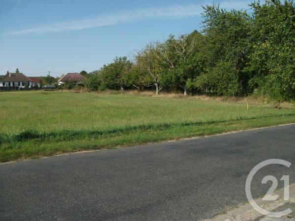 Terrain à vendre  2478 m2 CRAVANT - 45