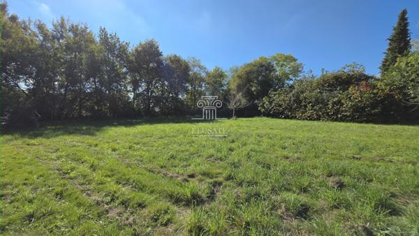 Réans (32800) MAISON T8 - 206M² EN CAMPAGNE AVEC TERRAIN DE PLUS DE 3HA ET DEPENDANCE / PROCHE EAUZE