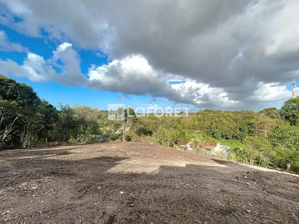 Achat terrain Le Moule - 1010 m² - 140 000 €