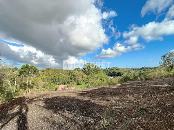 Achat terrain Le Moule - 1010 m² - 140 000 €