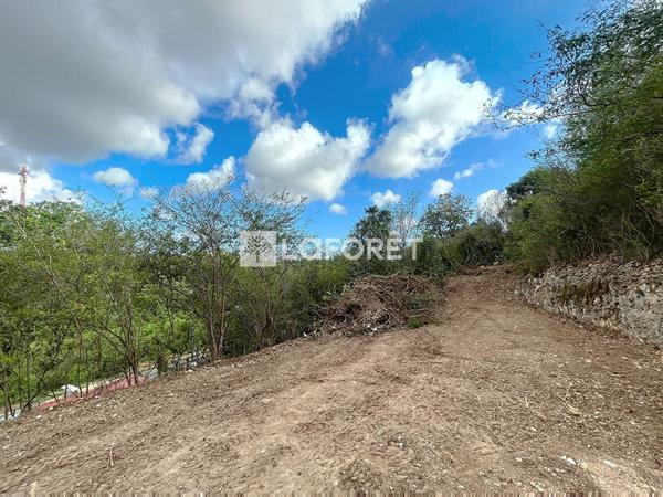 Achat terrain Le Moule - 1010 m² - 140 000 €