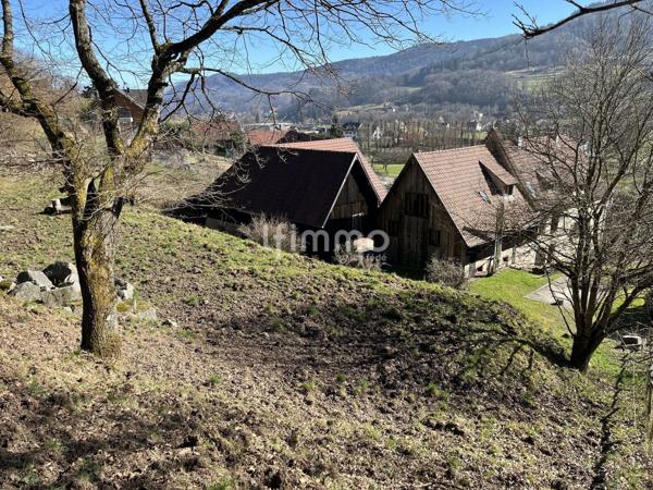 Propriété rare à Munster – 380 m² sur 1,6 hectare