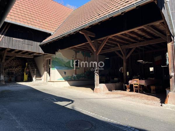 Propriété rare à Munster – 380 m² sur 1,6 hectare