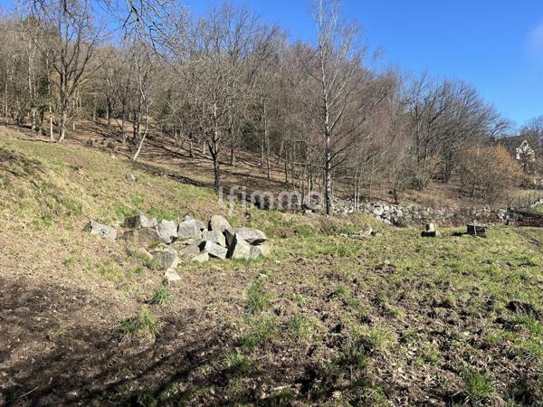 Propriété rare à Munster – 380 m² sur 1,6 hectare