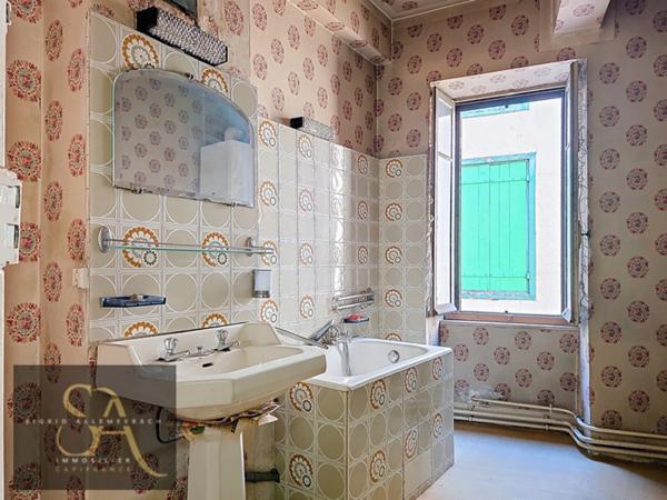 Maison à vendre 6 pièces ESPERAZA (11)