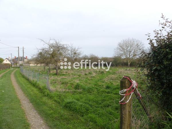 Terrain
        
        - 2500 m² Exclusivité 90 000 € *