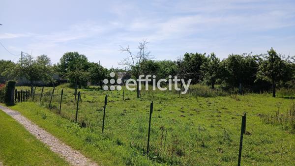 Terrain
        
        - 2500 m² Exclusivité 90 000 € *