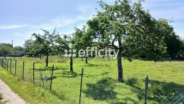 Terrain
        
        - 2500 m² Exclusivité 90 000 € *