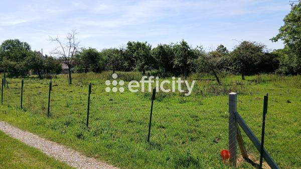 Terrain
        
        - 2500 m² Exclusivité 90 000 € *