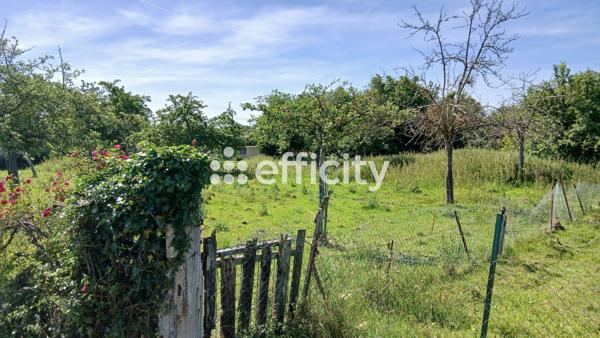 Terrain
        
        - 2500 m² Exclusivité 90 000 € *