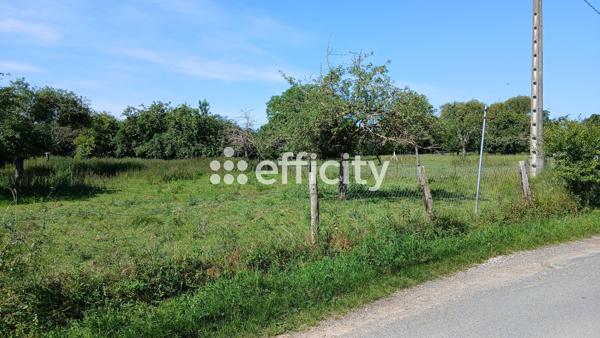 Terrain
        
        - 2500 m² Exclusivité 90 000 € *