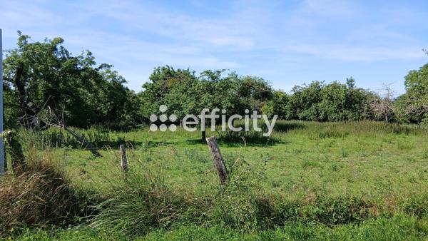 Terrain
        
        - 2500 m² Exclusivité 90 000 € *