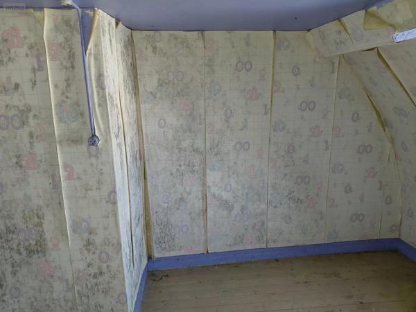 Achat - Maison Origny-Sainte-Benoite 02390 19 pièces 313 m 2 545 m 2